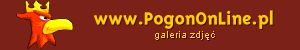 Galeria zdj na PogonOnLine.pl